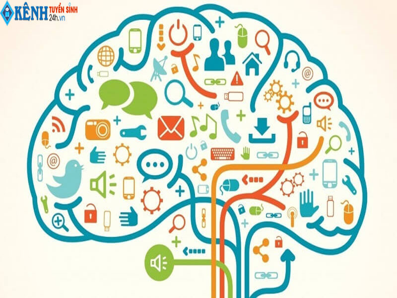 Xã Hội Học Là Ngành Gì? Học Xã Hội Học Ra Làm Gì?